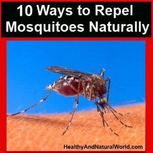 Ways To Repel Mosquitoes Naturally