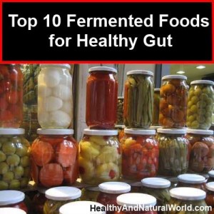 List Of Fermented Foods For Healthy Gut