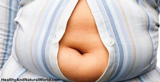 fat hormones reset melt advertisement healthyandnaturalworld