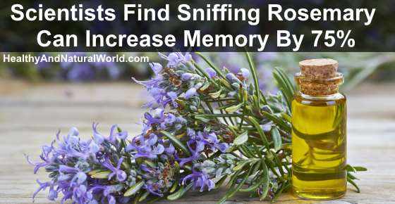 Scientists Find Sniffing Rosemary Can Increase Memory By