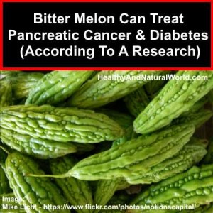 Bitter Melon Can Treat Pancreatic Cancer and Diabetes (According To A Research)