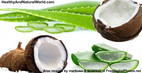 The Health Benefits Of Aloe Vera And Coconut Oil Mixture