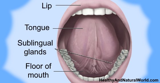 Painful Sores Bumps Or Blisters Under Tongue Causes And Treatments