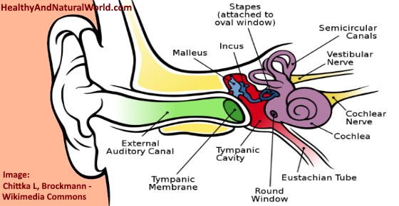 Popping Clicking Or Crackling Sound In Ear What Does It Mean 