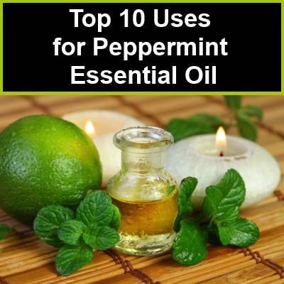 Top 10 Uses and Benefits of Peppermint Essential Oil