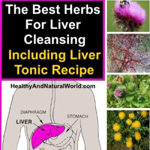 Top 6 Herbs to Detox Your Liver, Including Liver Tonic Recipe