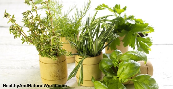 10 Best Healing Herbs You Can Eat Everyday