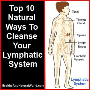 Top 10 Natural Ways To Cleanse Your Lymphatic System