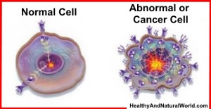 Cooking Methods for Cancer Prevention + Healing Food Combinations