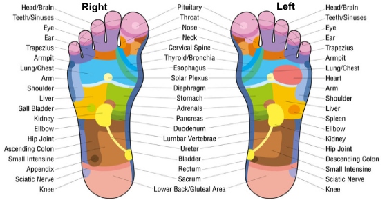 How to Do Reflexology At Home to Treat Common Ailments