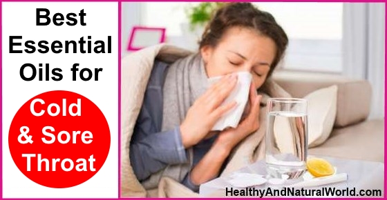 The Top 15 Essential Oils for Colds or Flu that are Based on Science