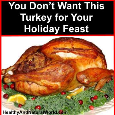 You Don’t Want This Turkey for Your Holiday Feast
