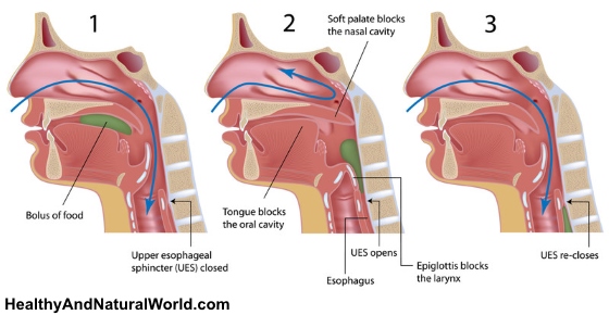 How To Get Rid Of A Stuffy Or Runny Nose Instantly Within 1 Minute 