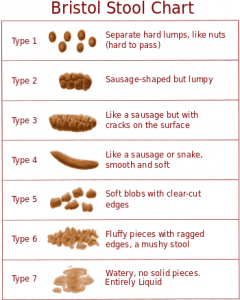 Here's What Your Stool Can Tell You About Your Health