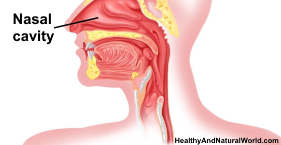 The Best Home Remedies for Blocked or Stuffy Nose diagram of sore throat 