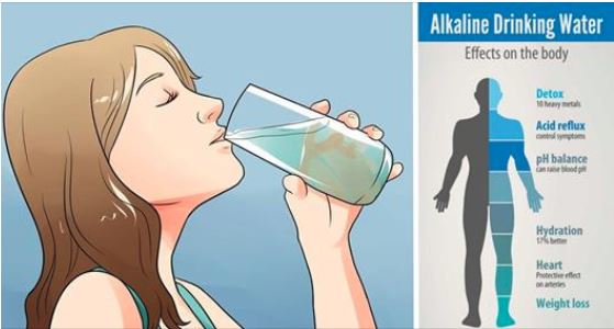 Alkalinity in the body 