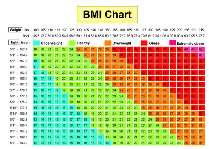 What s The Bmi For Obesity At Frank White Blog