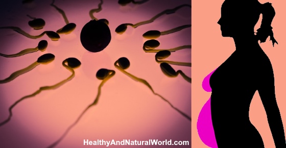 How Long Sperm Can Live And How To Improve Its Lifespan 3353