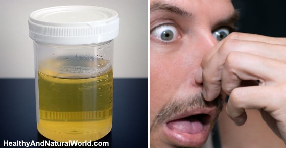 Ammonia Smell In Urine Causes And What To Do About It