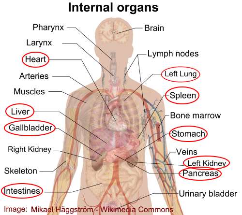 Pain On Left Side Causes Treatments And When To See A Doctor