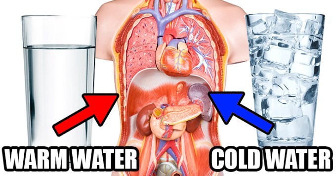 Which Is Better Drinking Cold Or Warm Water 